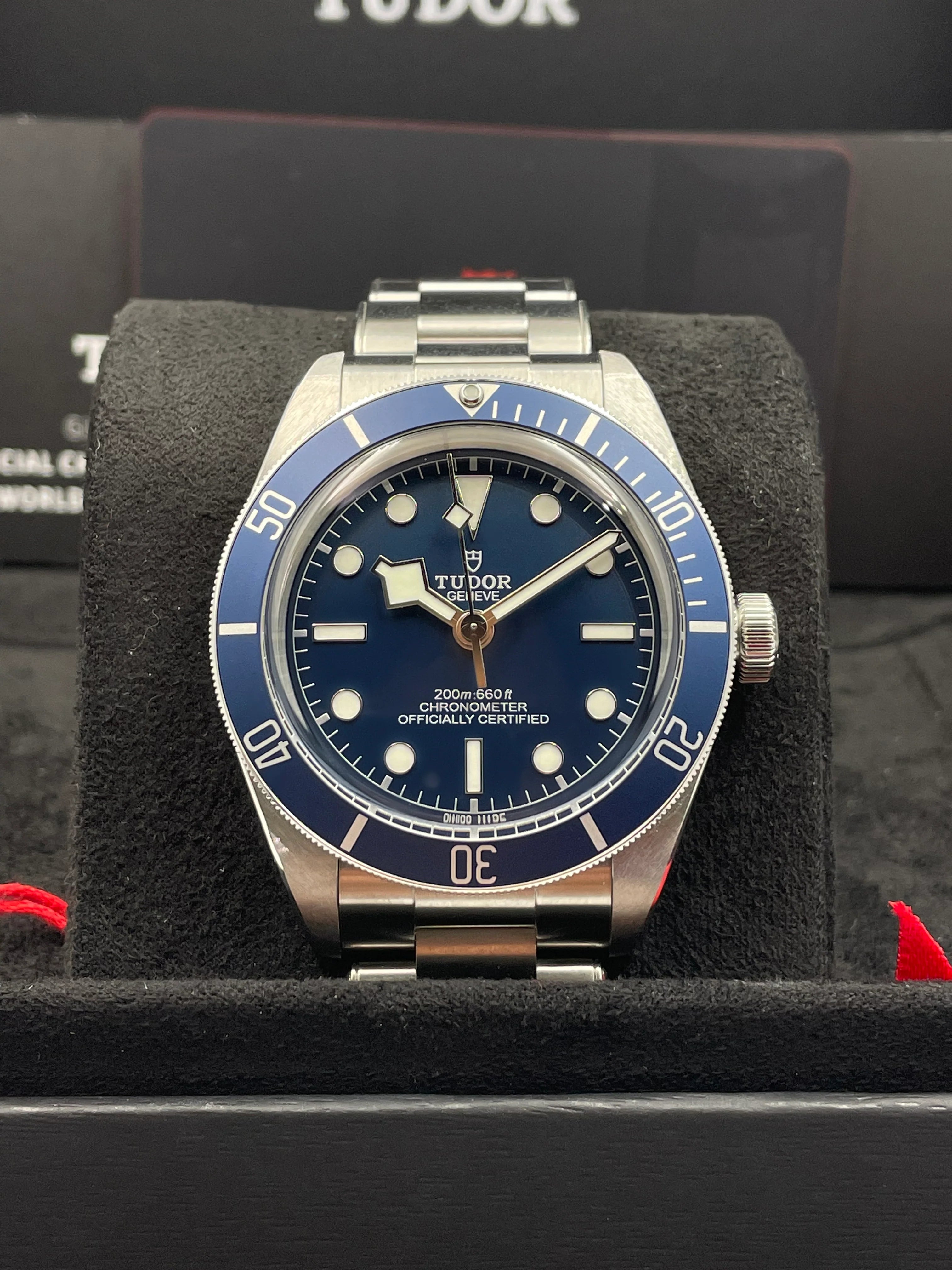 Tudor Black Bay 39 mm